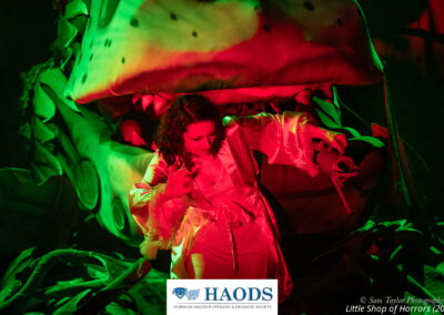 Little Shop of Horrors (2025)